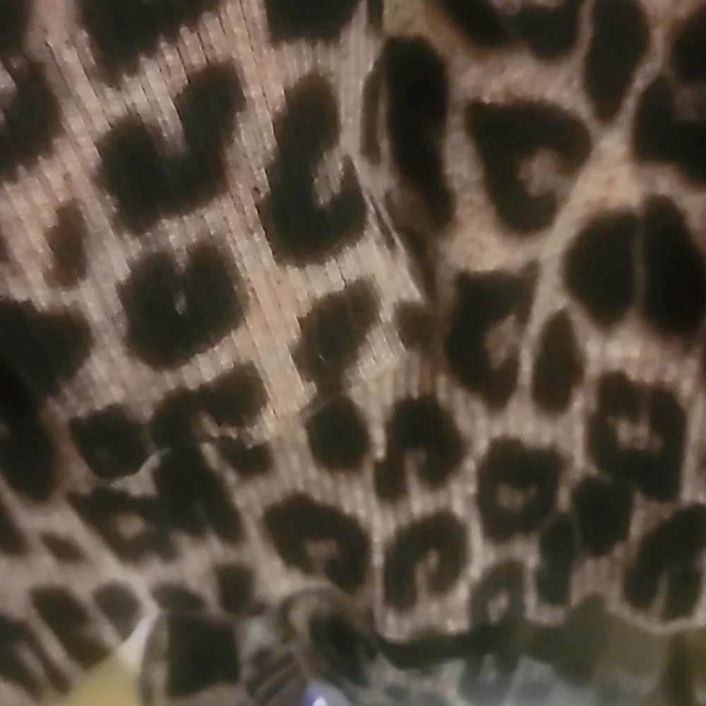 Torrid Leopard Long Sleeve Raglan Sweatshirt Size 1/14 - Picture 6 of 8